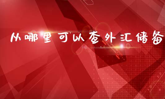 从哪里可以查外汇储备_https://www.fsyjjx.cn_股市分析_第1张
