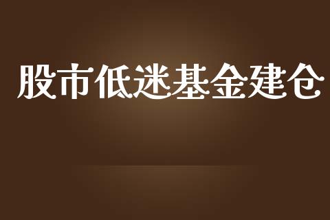 股市低迷基金建仓_https://www.fsyjjx.cn_理财资讯_第1张