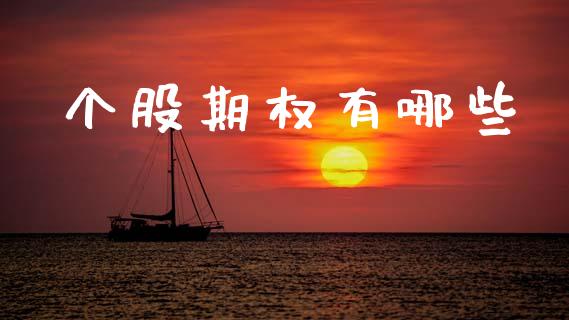 个股期权有哪些_https://www.fsyjjx.cn_期货在线_第1张