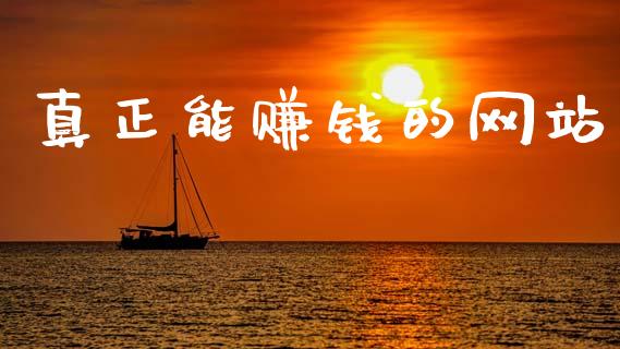 真正能赚钱的网站_https://www.fsyjjx.cn_期货资讯_第1张
