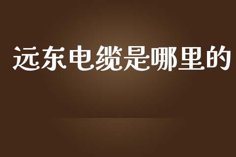 远东电缆是哪里的_https://www.fsyjjx.cn_问财精选_第1张