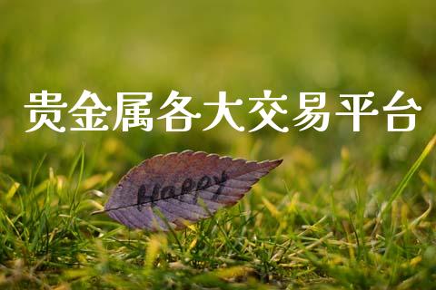 贵金属各大交易平台_https://www.fsyjjx.cn_期货研报_第1张