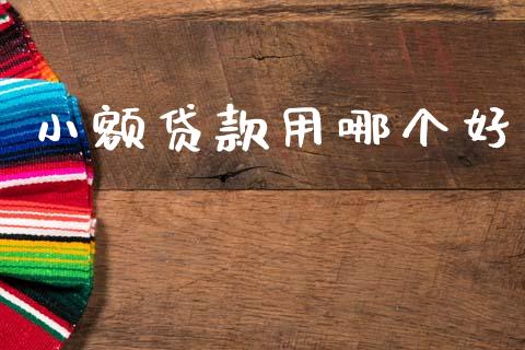 小额贷款用哪个好_https://www.fsyjjx.cn_股指期货_第1张