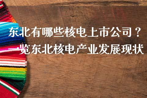 东北有哪些核电上市公司？一览东北核电产业发展现状_https://www.fsyjjx.cn_期货在线_第1张
