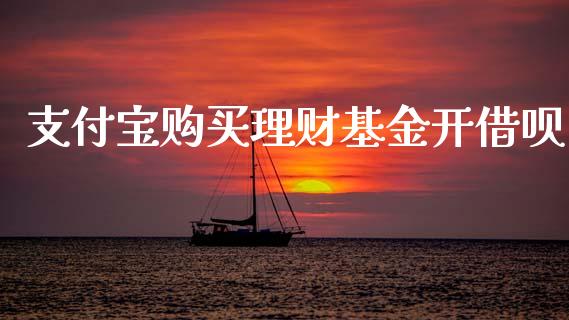 支付宝购买理财基金开借呗_https://www.fsyjjx.cn_理财资讯_第1张