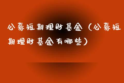 公募短期理财基金（公募短期理财基金有哪些）_https://www.fsyjjx.cn_问财精选_第1张