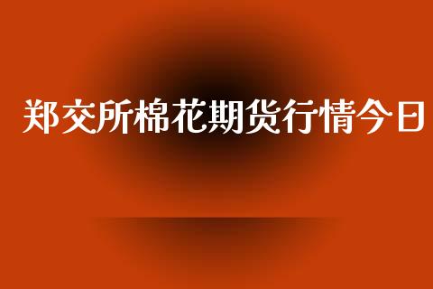 郑交所棉花期货行情今日_https://www.fsyjjx.cn_期货资讯_第1张