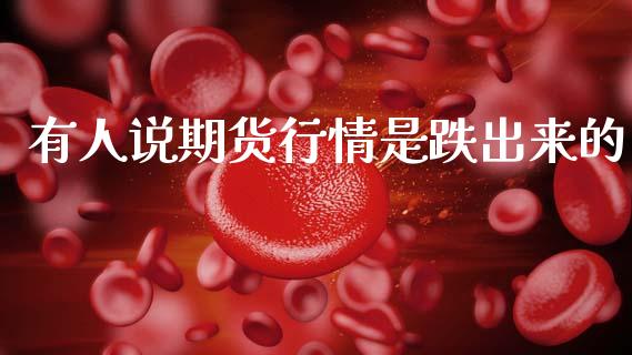 有人说期货行情是跌出来的_https://www.fsyjjx.cn_期货研报_第1张