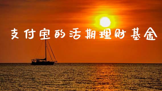 支付宝的活期理财基金_https://www.fsyjjx.cn_问财精选_第1张