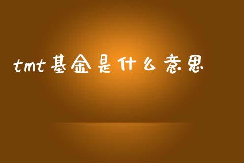 tmt基金是什么意思_https://www.fsyjjx.cn_股指期货_第1张