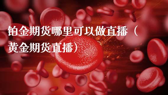 铂金期货哪里可以做直播（黄金期货直播）_https://www.fsyjjx.cn_期货在线_第1张