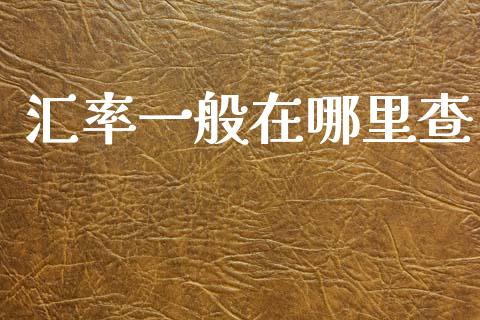 汇率一般在哪里查_https://www.fsyjjx.cn_期货资讯_第1张