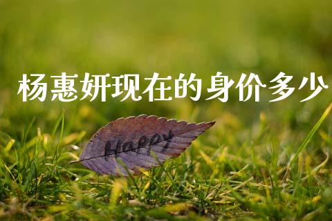 杨惠妍现在的身价多少_https://www.fsyjjx.cn_问财精选_第1张