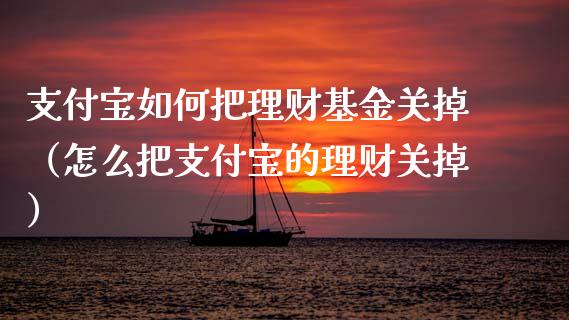 支付宝如何把理财基金关掉（怎么把支付宝的理财关掉）_https://www.fsyjjx.cn_问财精选_第1张