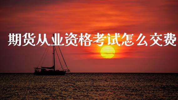 期货从业资格考试怎么交费_https://www.fsyjjx.cn_股市分析_第1张