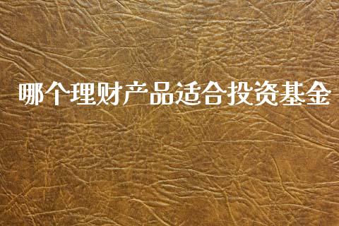 哪个理财产品适合投资基金_https://www.fsyjjx.cn_问财精选_第1张