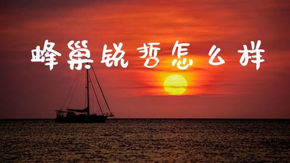蜂巢锐哲怎么样_https://www.fsyjjx.cn_理财资讯_第1张