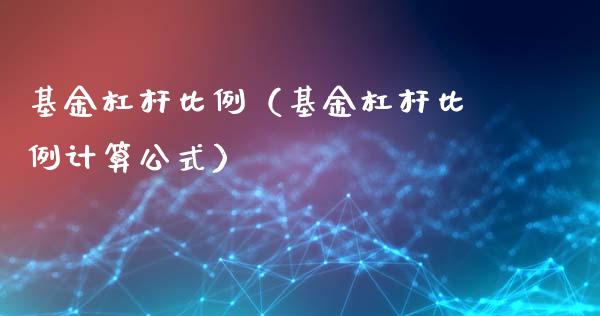 基金杠杆比例（基金杠杆比例计算公式）_https://www.fsyjjx.cn_理财资讯_第1张