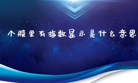 个股里有指数显示是什么意思_https://www.fsyjjx.cn_期货研报_第1张