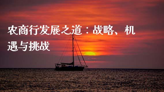 农商行发展之道：战略、机遇与挑战_https://www.fsyjjx.cn_问财精选_第1张