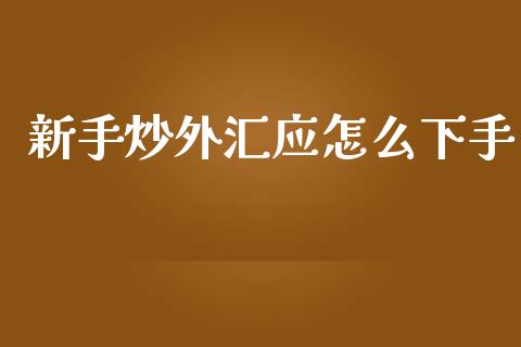 新手炒外汇应怎么下手_https://www.fsyjjx.cn_理财资讯_第1张