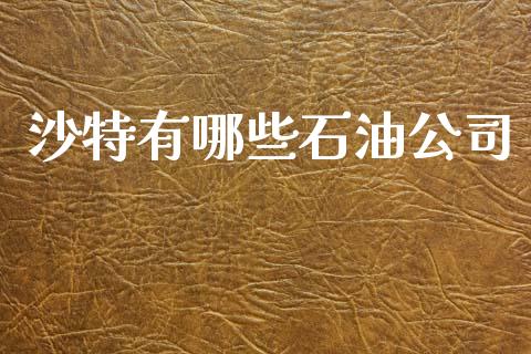 沙特有哪些石油公司_https://www.fsyjjx.cn_期货研报_第1张