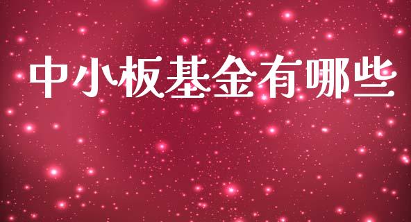 中小板基金有哪些_https://www.fsyjjx.cn_股票指导_第1张