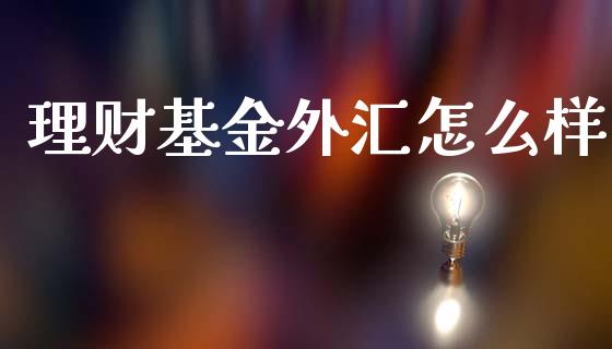 理财基金外汇怎么样_https://www.fsyjjx.cn_问财精选_第1张