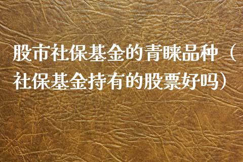 股市社保基金的青睐品种（社保基金持有的股票好吗）_https://www.fsyjjx.cn_问财精选_第1张