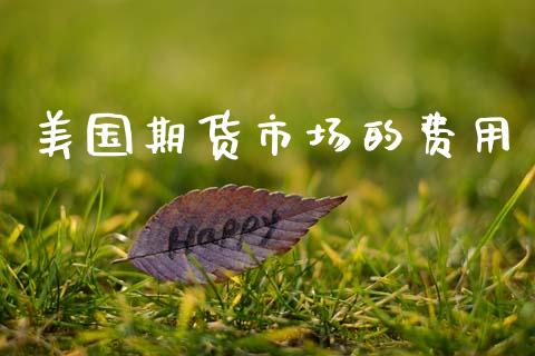 美国期货市场的费用_https://www.fsyjjx.cn_股市分析_第1张