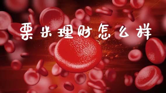 栗米理财怎么样_https://www.fsyjjx.cn_股指期货_第1张