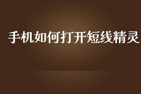 手机如何打开短线精灵_https://www.fsyjjx.cn_股票指导_第1张