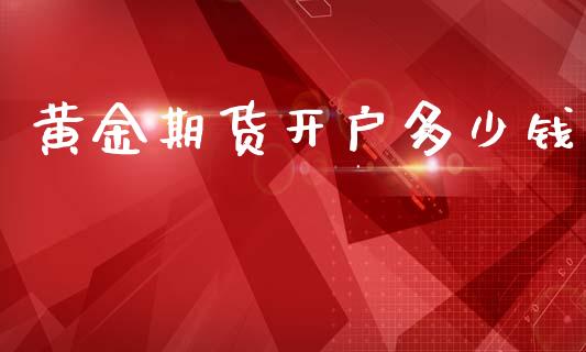 黄金期货开户多少钱_https://www.fsyjjx.cn_期货研报_第1张