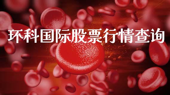 环科国际股票行情查询_https://www.fsyjjx.cn_股票指导_第1张
