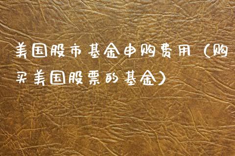 美国股市基金申购费用（购买美国股票的基金）_https://www.fsyjjx.cn_问财精选_第1张