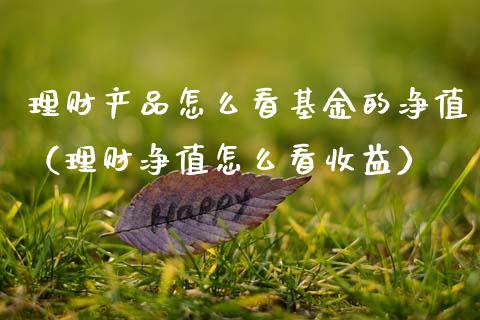 理财产品怎么看基金的净值（理财净值怎么看收益）_https://www.fsyjjx.cn_问财精选_第1张