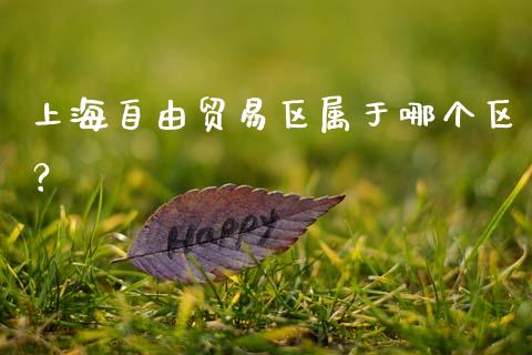 上海自由贸易区属于哪个区？_https://www.fsyjjx.cn_问财精选_第1张