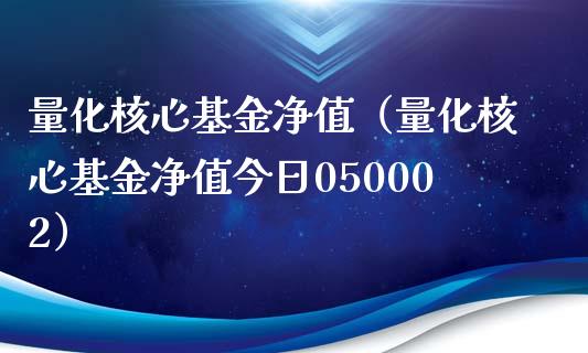 量化核心基金净值（量化核心基金净值今日050002）_https://www.fsyjjx.cn_问财精选_第1张