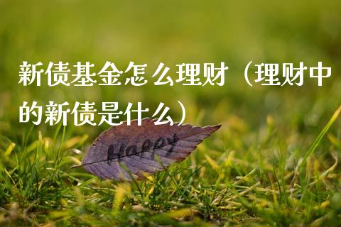 新债基金怎么理财（理财中的新债是什么）_https://www.fsyjjx.cn_问财精选_第1张