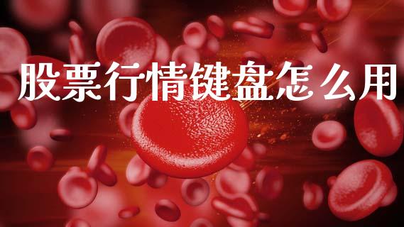 股票行情键盘怎么用_https://www.fsyjjx.cn_股市分析_第1张