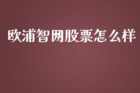 欧浦智网股票怎么样_https://www.fsyjjx.cn_股票指导_第1张