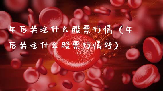 午后关注什么股票行情（午后关注什么股票行情好）_https://www.fsyjjx.cn_股市分析_第1张