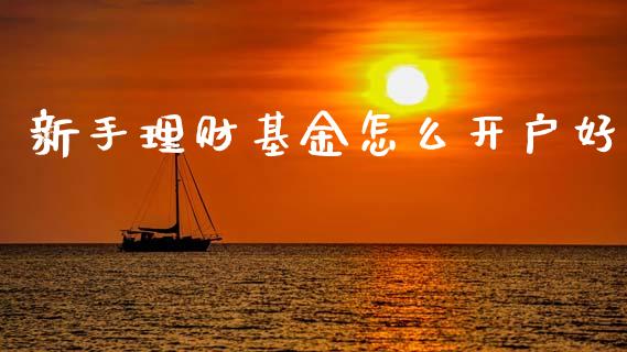 新手理财基金怎么开户好_https://www.fsyjjx.cn_问财精选_第1张