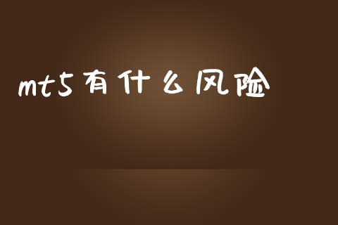 mt5有什么风险_https://www.fsyjjx.cn_股指期货_第1张