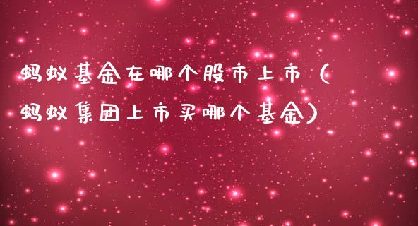 蚂蚁基金在哪个股市上市（蚂蚁集团上市买哪个基金）_https://www.fsyjjx.cn_理财资讯_第1张