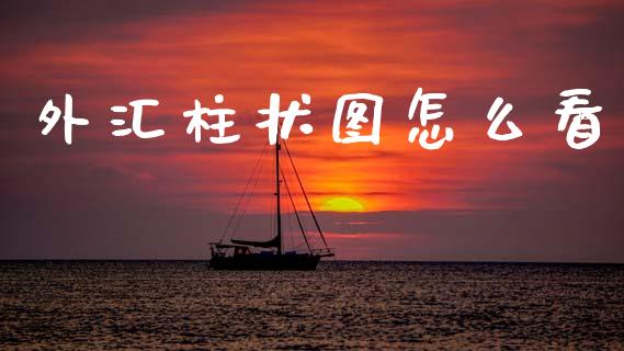 外汇柱状图怎么看_https://www.fsyjjx.cn_股指期货_第1张
