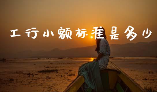工行小额标准是多少_https://www.fsyjjx.cn_股票指导_第1张