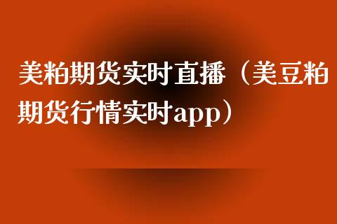 美粕期货实时直播（美豆粕期货行情实时app）_https://www.fsyjjx.cn_期货在线_第1张