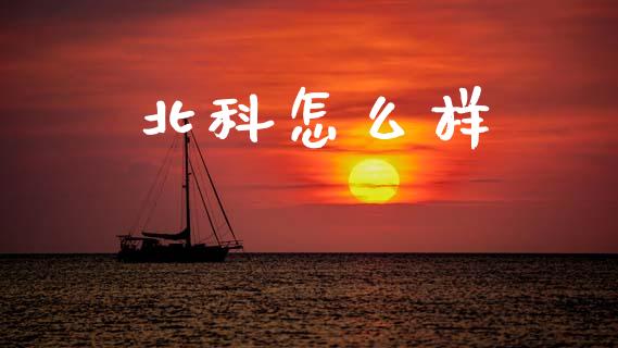 北科怎么样_https://www.fsyjjx.cn_股市分析_第1张