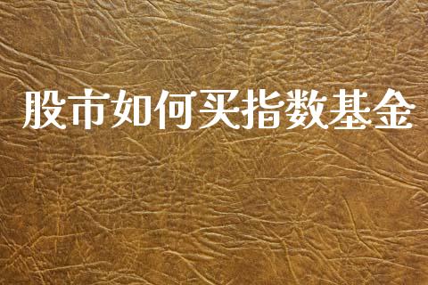 股市如何买指数基金_https://www.fsyjjx.cn_理财资讯_第1张